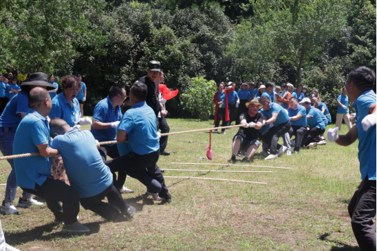 1691215526793606.png image.png